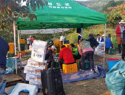 (2014.10.15)대구 달서구 라이온스 클럽 농촌일손돕기